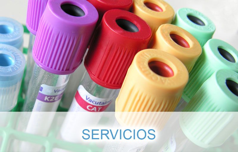 Servicios de Farmacia Maru00eda Luisa Molto